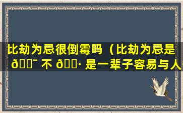 比劫为忌很倒霉吗（比劫为忌是 🐯 不 🌷 是一辈子容易与人争斗）